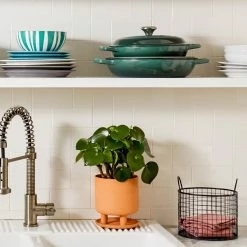 Best Sale ✔️ Le Creuset 3.5 Qt. Signature Braiser With Stainless Steel Knob | Artichaut 🤩 -Le Creuset Shop art